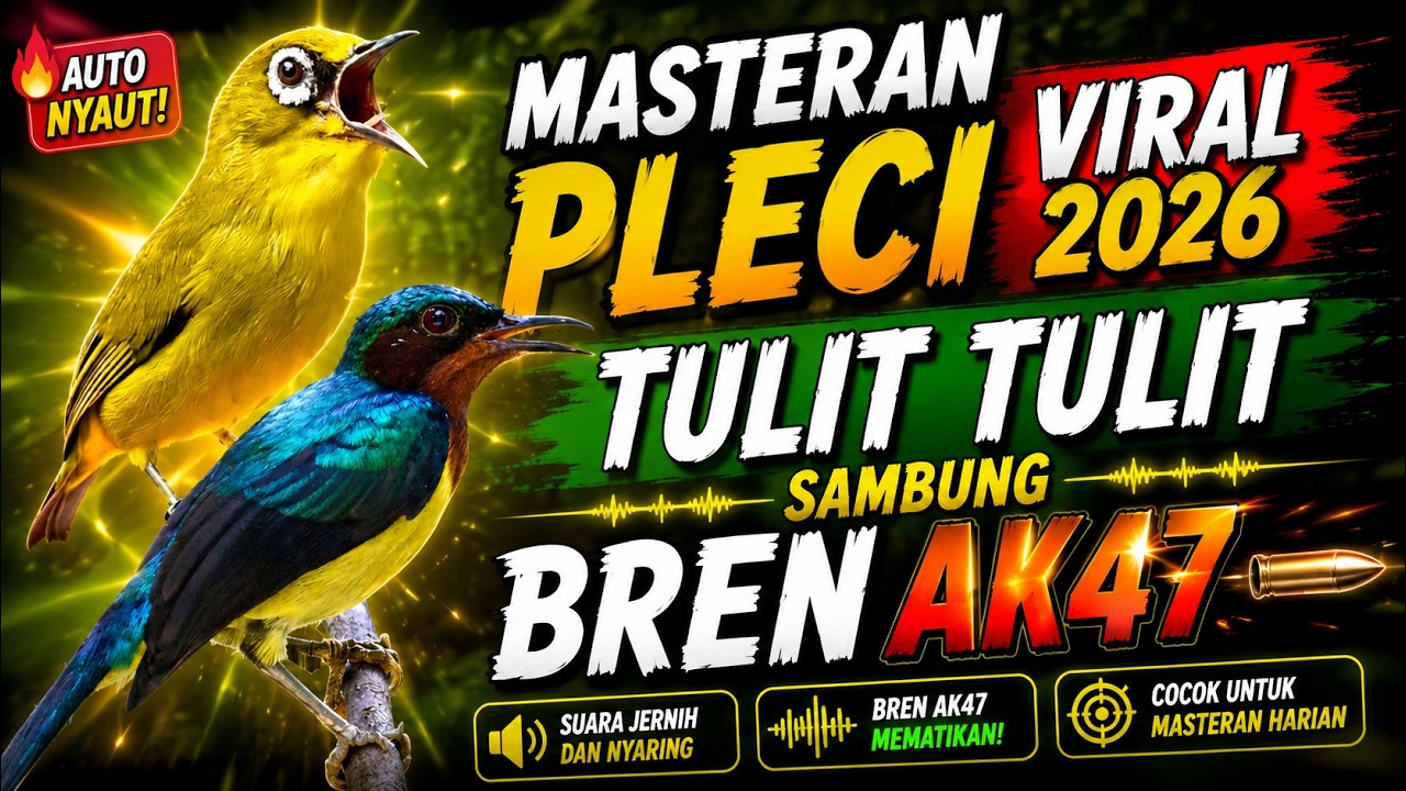 Masteran Pleci Gacor Brutal 2026! Kolibri Wulung Mewah Nembak Witwitcer Sambung Bren AK47