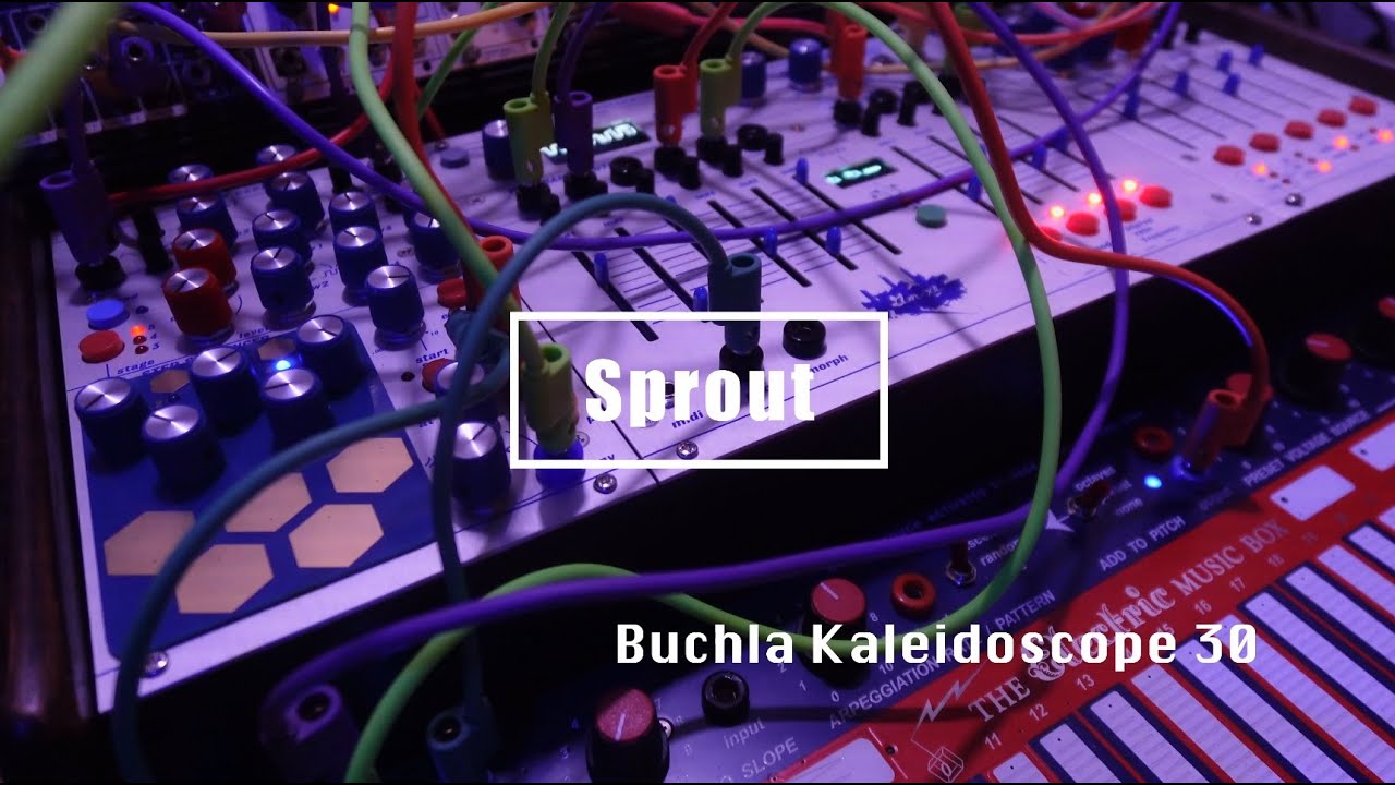 Buchla Kaleidoscope 30/ Sprout (Buchla 700FM)