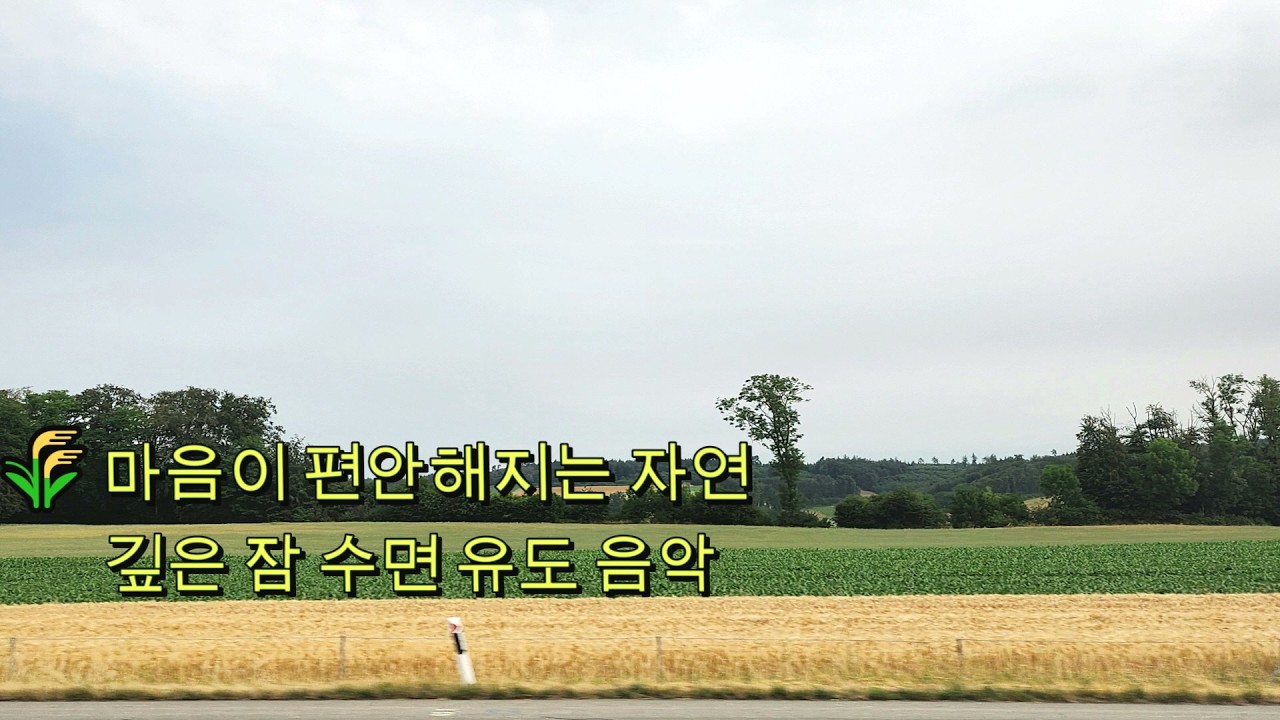 구름 아래 펼쳐진 평화로운 시골 들판 🌿 자연 힐링 영상 #휴식 공간(Rest Space) #2시간 #수면 유도  #나만의 쉼터 #healing music