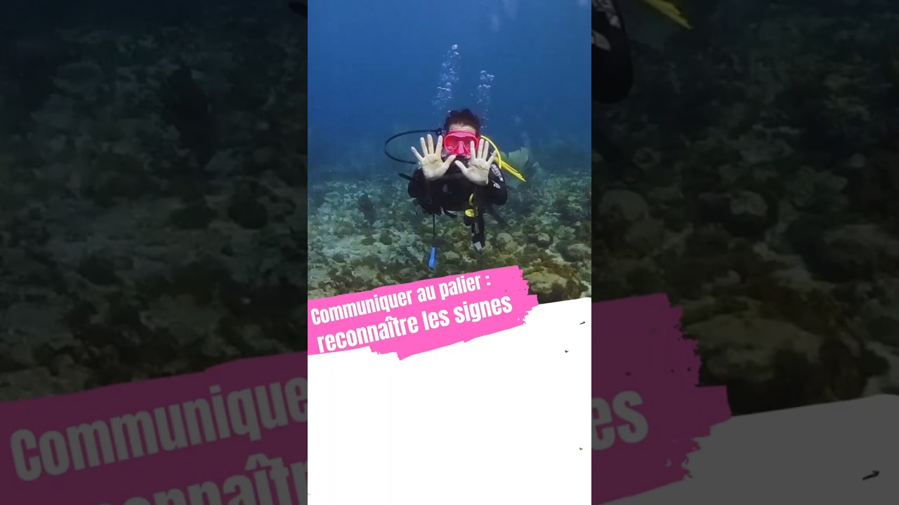 Communiquer au palier en plong&eacute;e sous-marine : les signes. #plongee #plong&eacute;esousmarine #ffessm