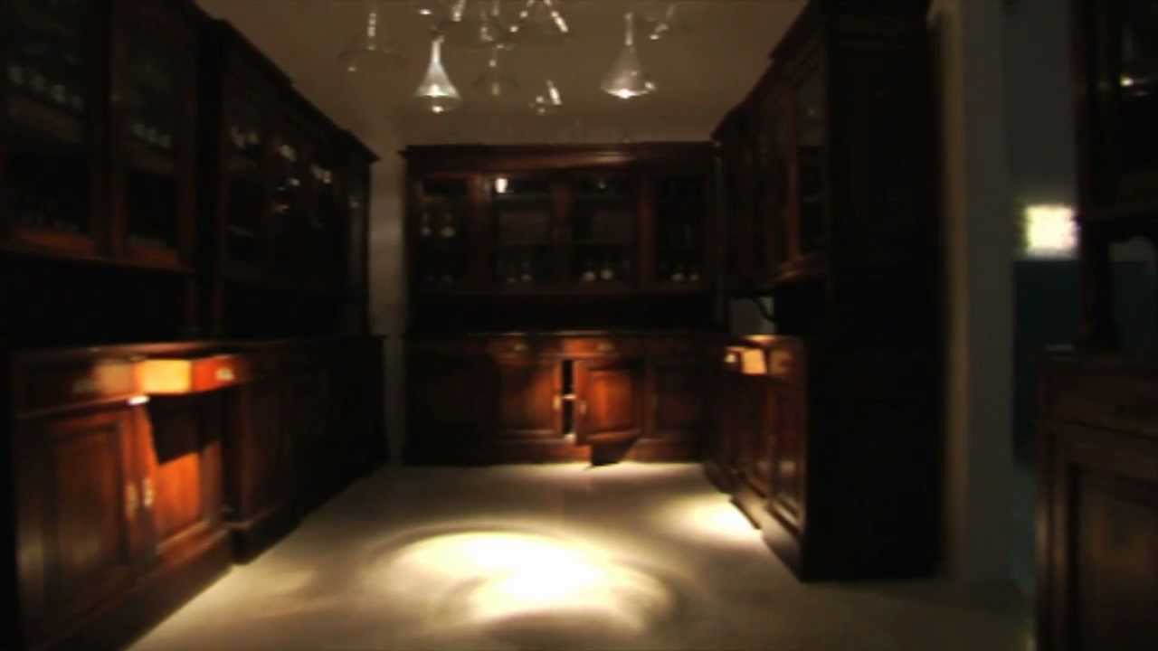 MUSEO LABORATORIO DELLA MENTE