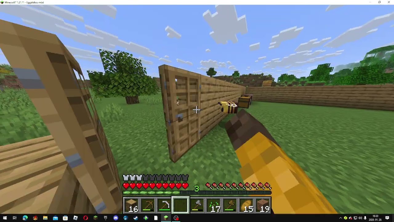 Minecraft Túlélő,2.rész,Lesznek házi méheim?Xd
