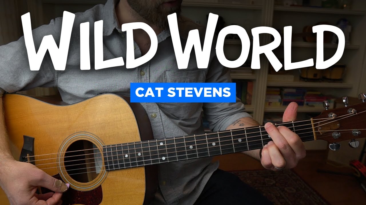 «Wild World» Кэта Стивенса (урок игры на гитаре)