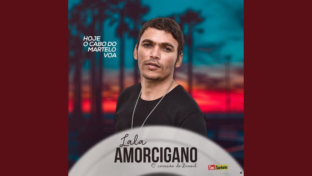 Foi Voce Quem Quis