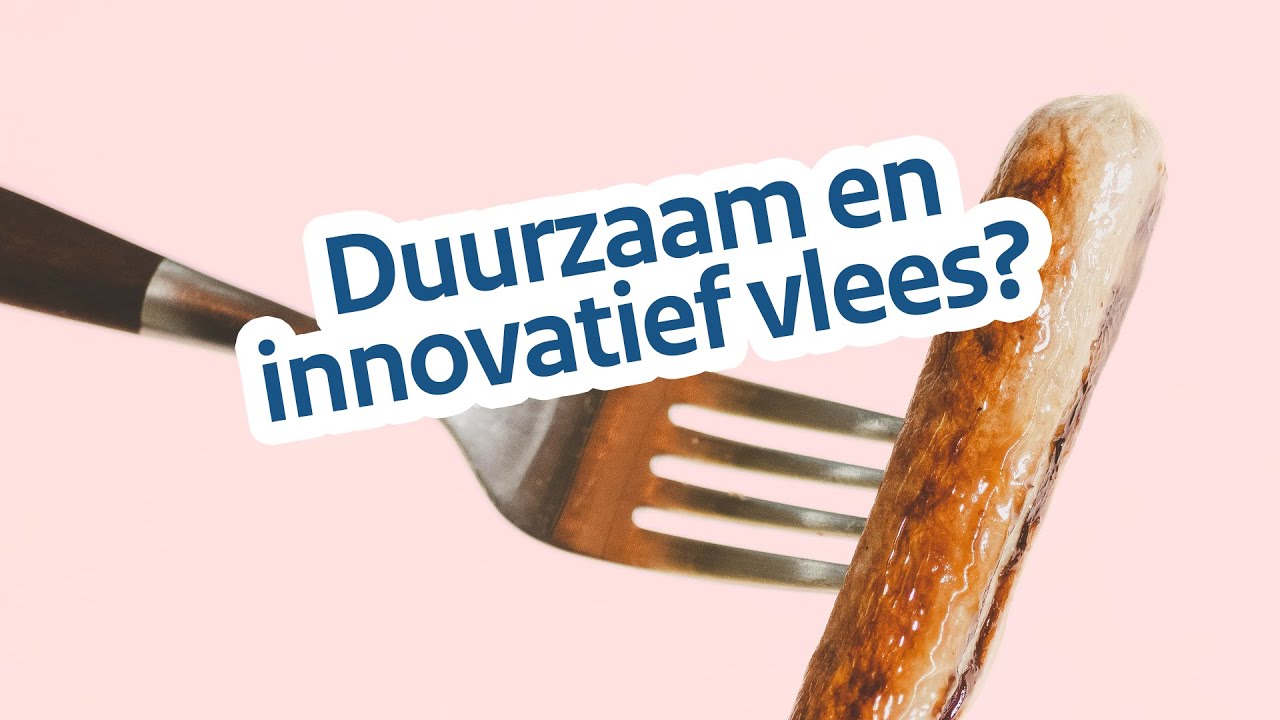 RVO ondernemersverhalen | Meatable