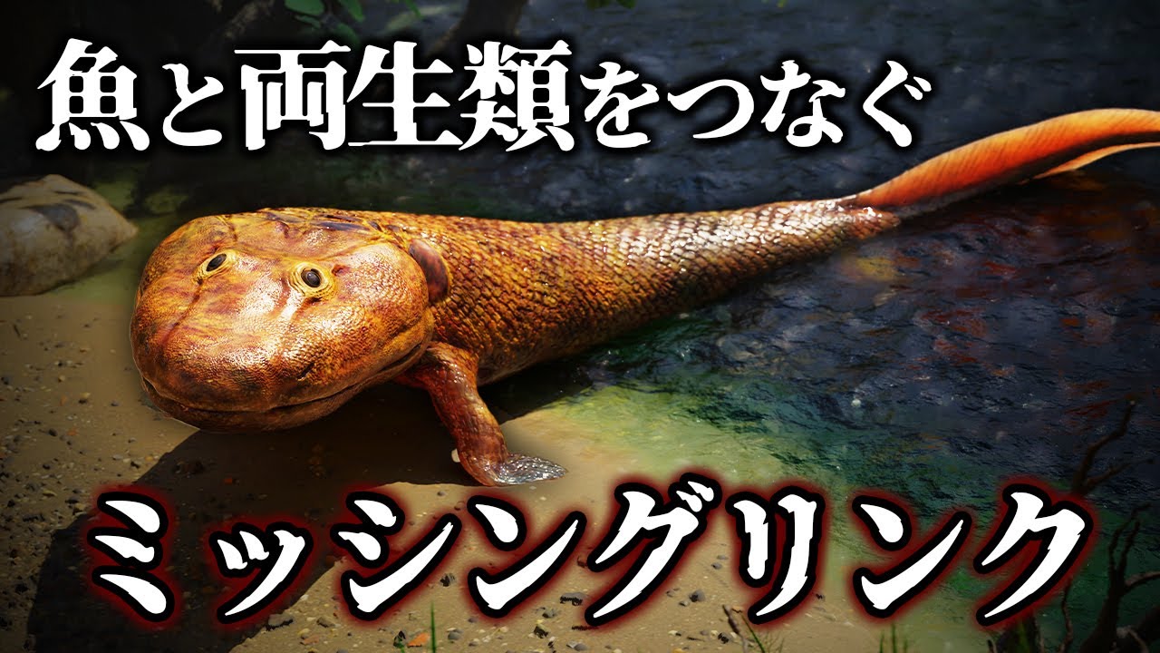 【ゆっくり解説】水中から陸への進化の鍵を握るティクターリクとは何者か？