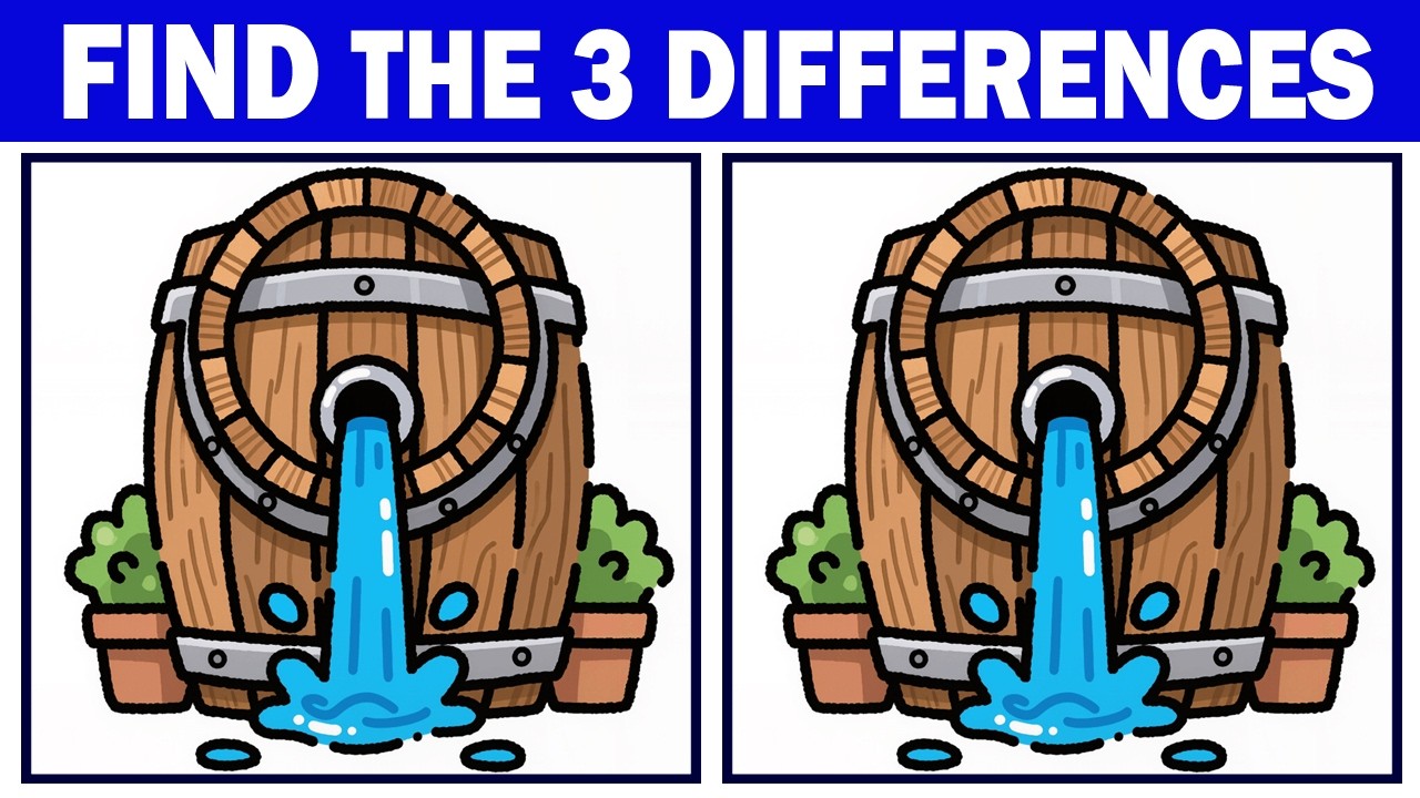 Find The Difference, See If You Can Spot Three | Only Genius Can Find | Puzzle Game Challenge#85