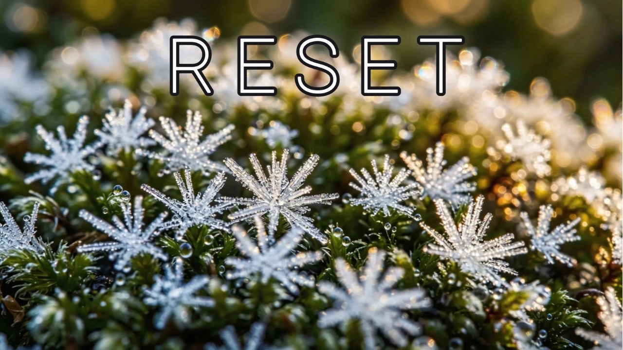 528Hz Nervous System Recovery Calming Music | Restore Inner Balance #4k