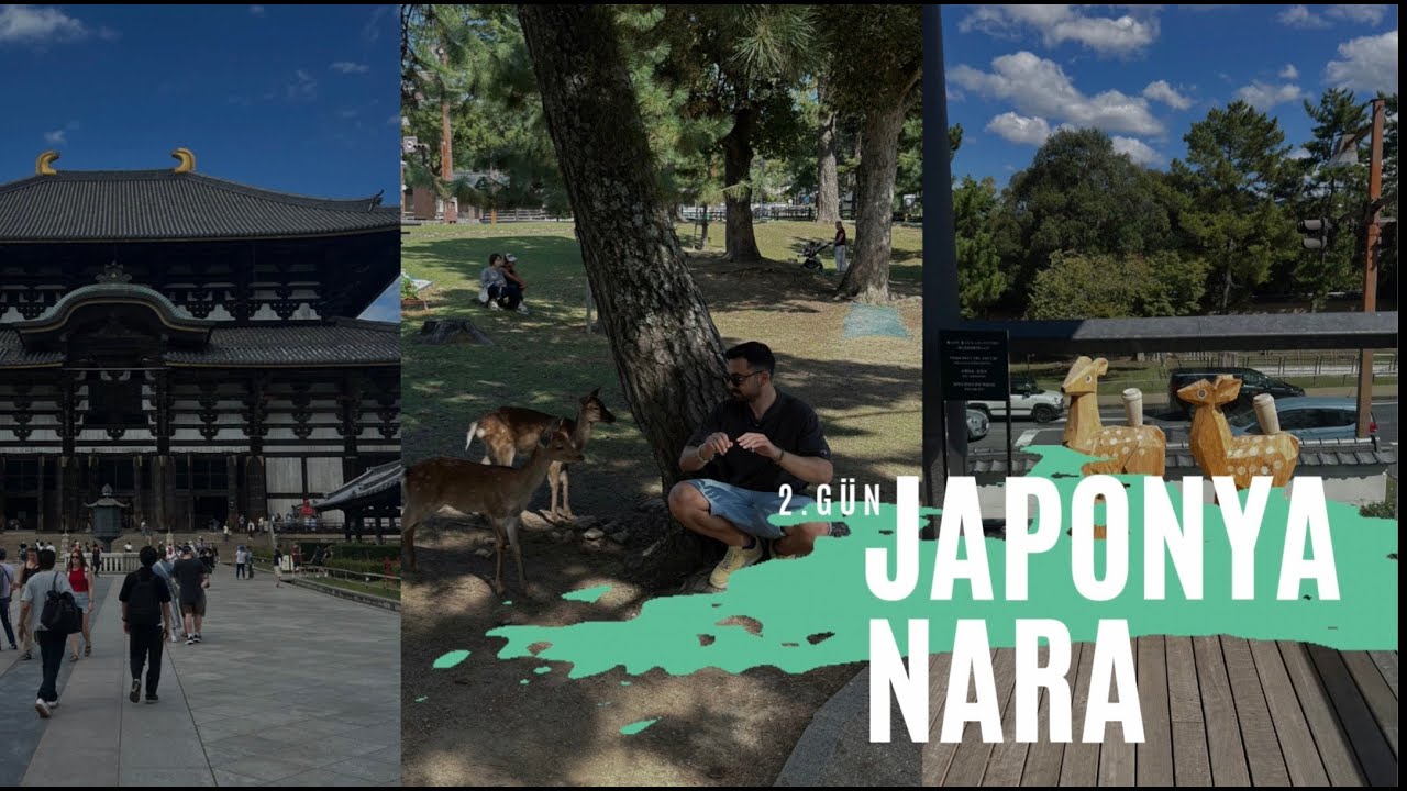 JAPONYA VLOG 2.GÜN - NARA'DA GEYİKLERLE TAKILMACA VE TODAİ-Jİ TAPINAĞI