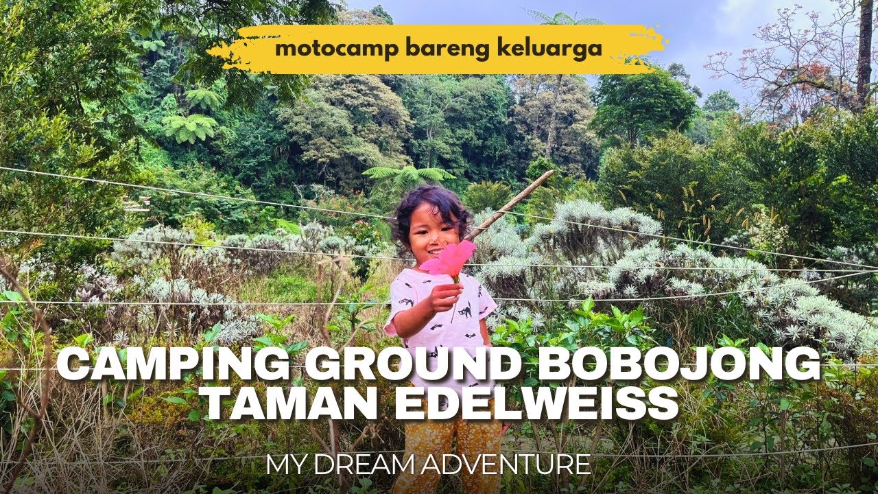 CAMPING GROUND BOBOJONG | MENIKMATI INDAHNYA EDELWEIS GAK PERLU NAIK GUNUNG !!!!