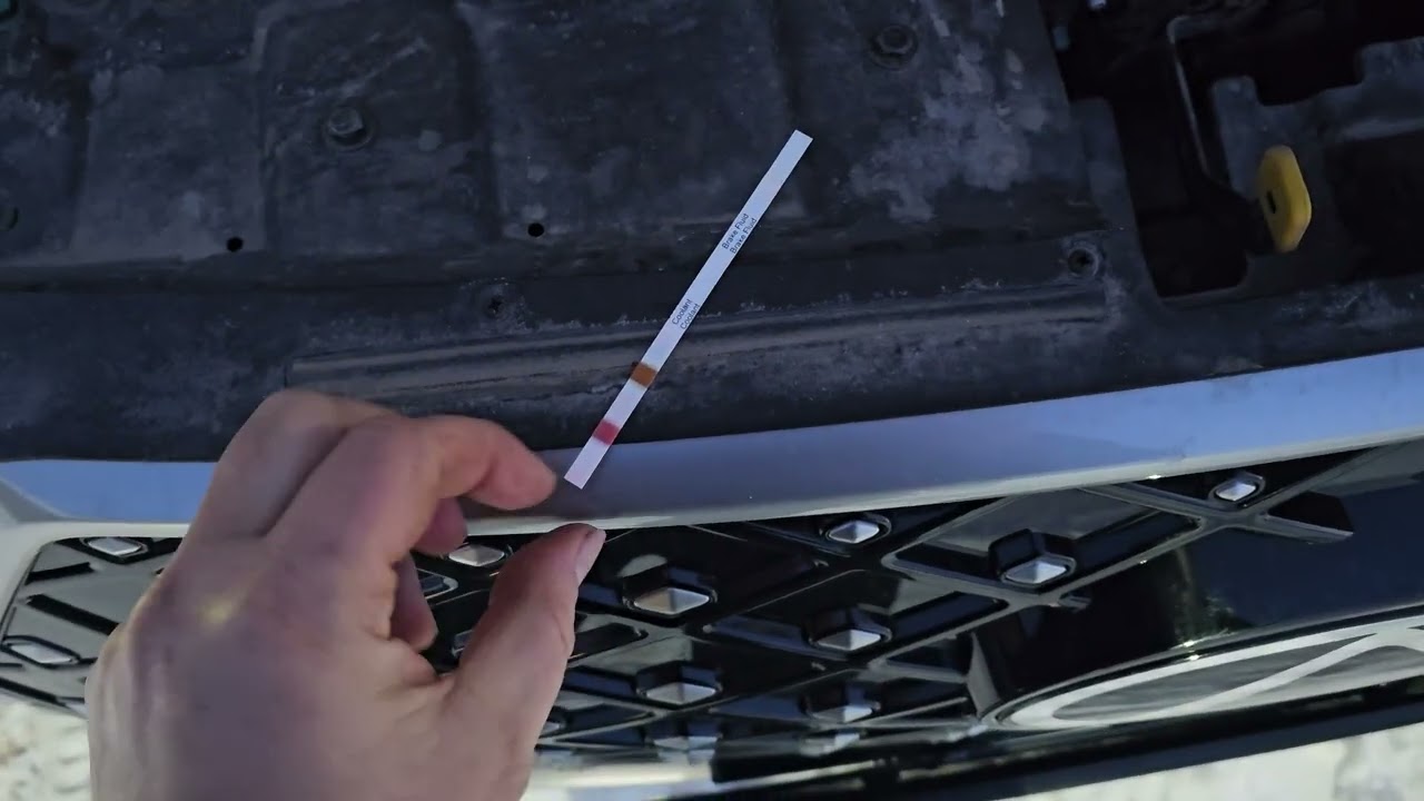 23 февраля 2026 г.