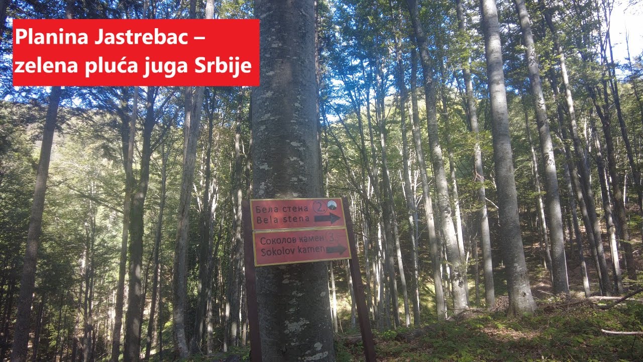 Jastrebac &ndash; &scaron;uma bez kraja u srcu Srbije