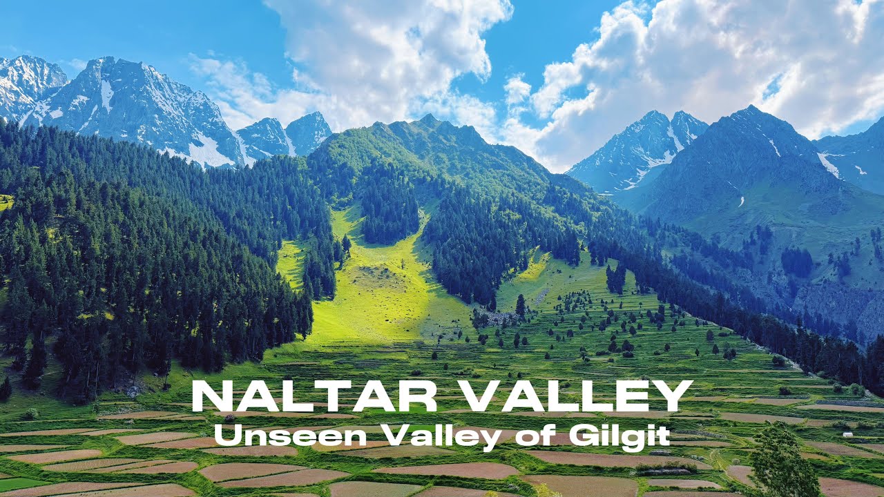 Naltar Valley | You Won’t Believe This Exists Near Gilgit | Part 2