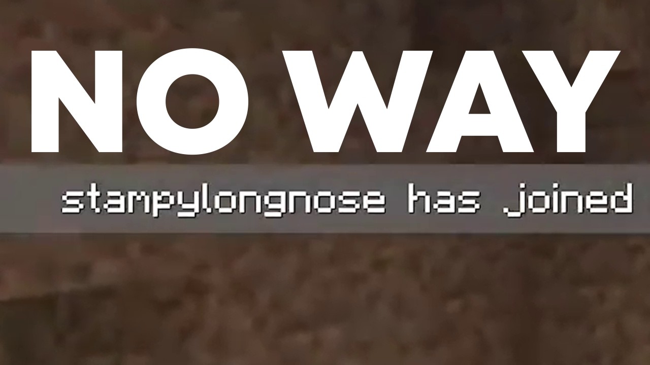 I played Minecraft With Stampy