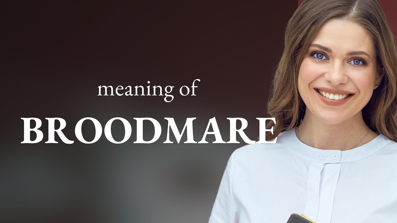 Understanding the Term 