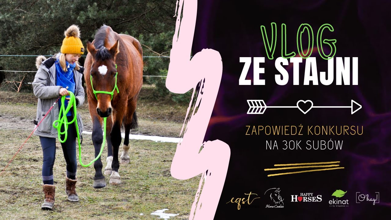 LUŹNY VLOG - samotny dzień w stajni + ZAPOWIEDŹ KONKURSU 30K 🥳