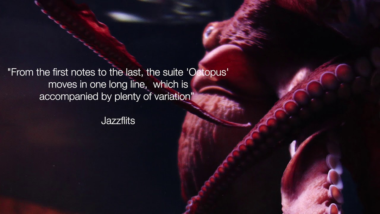 Millennium Jazz Orchestra reviews Octopus