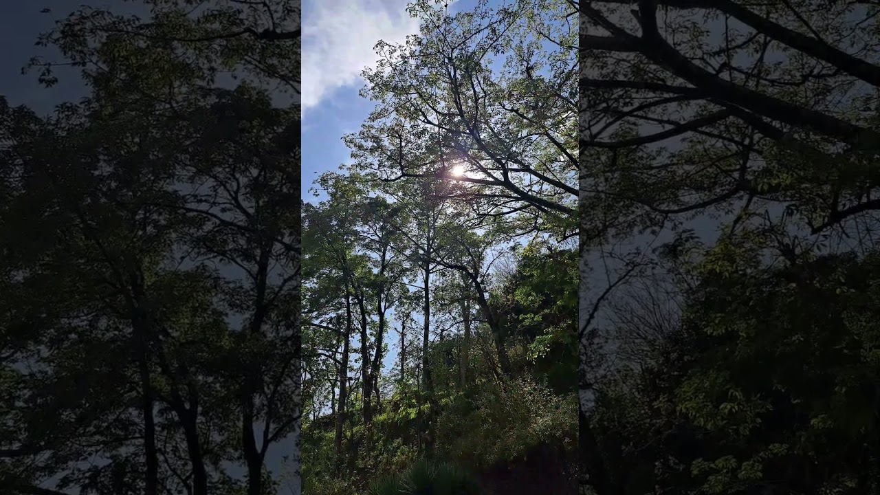 Beautiful nature। nature video status with song।nature videos 30 seconds।beautiful nature 4k