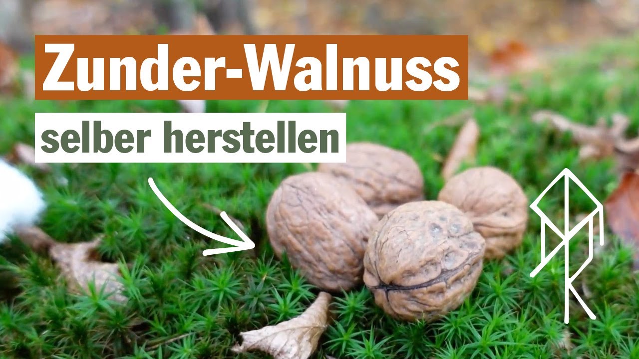 Zunder-Walnuss selber herstellen | Urviech Bushcraft , Survival