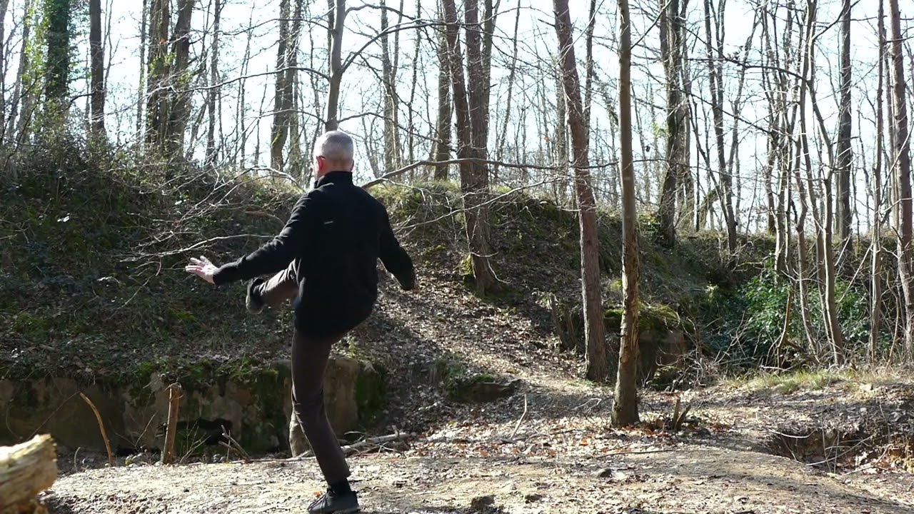 Tai Chi Chuan forme 108, (2ième partie) l'Homme, version éducative commentée