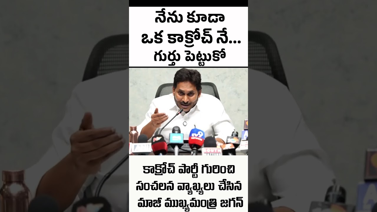 YS Jagan's remarks on the 'Cockroach' party. #Cockroach #ysrcp #jagan #tdp #janasena #pawankalyan