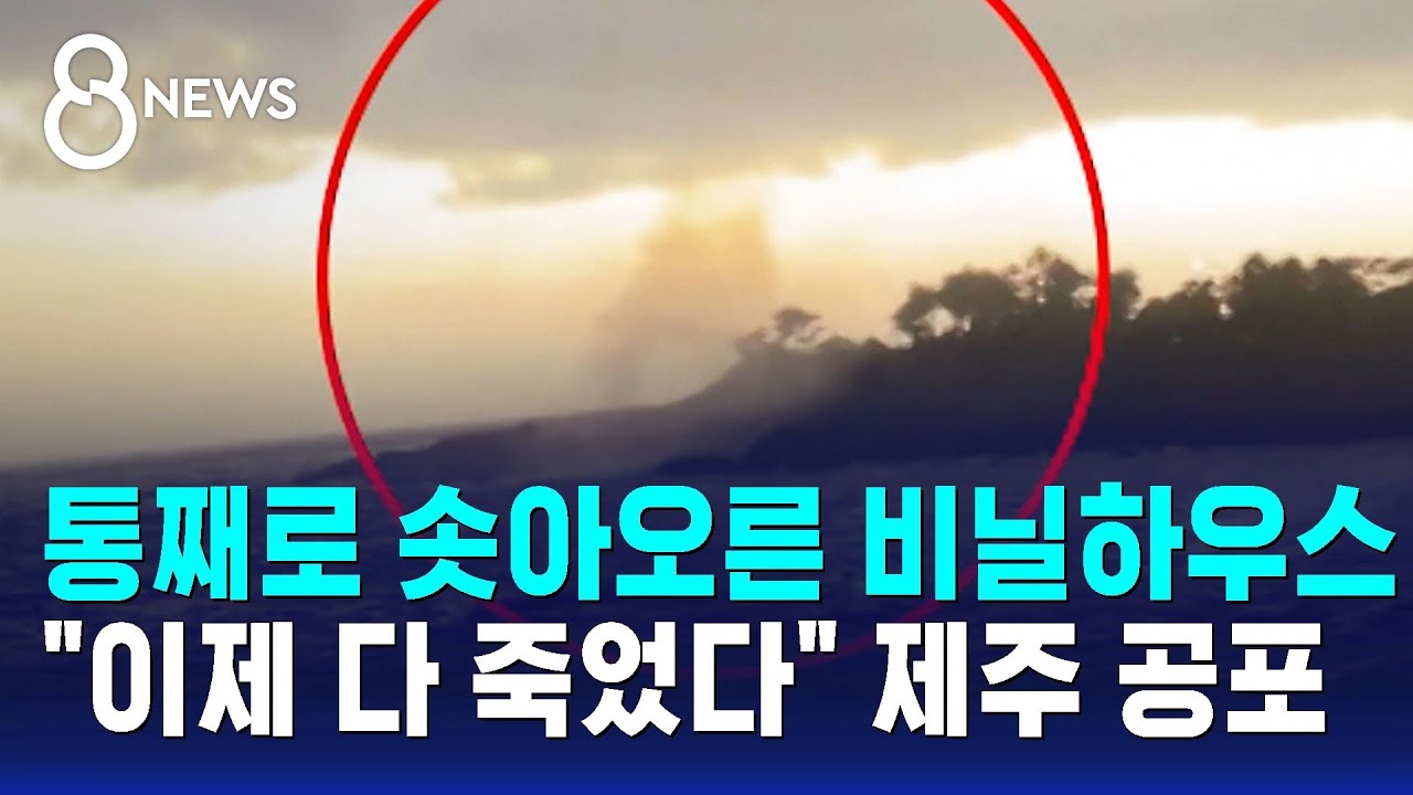 통째로 솟아오른 비닐하우스…