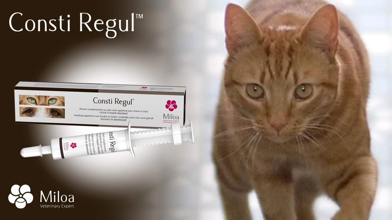 Snack Content - Consti Regul&trade;