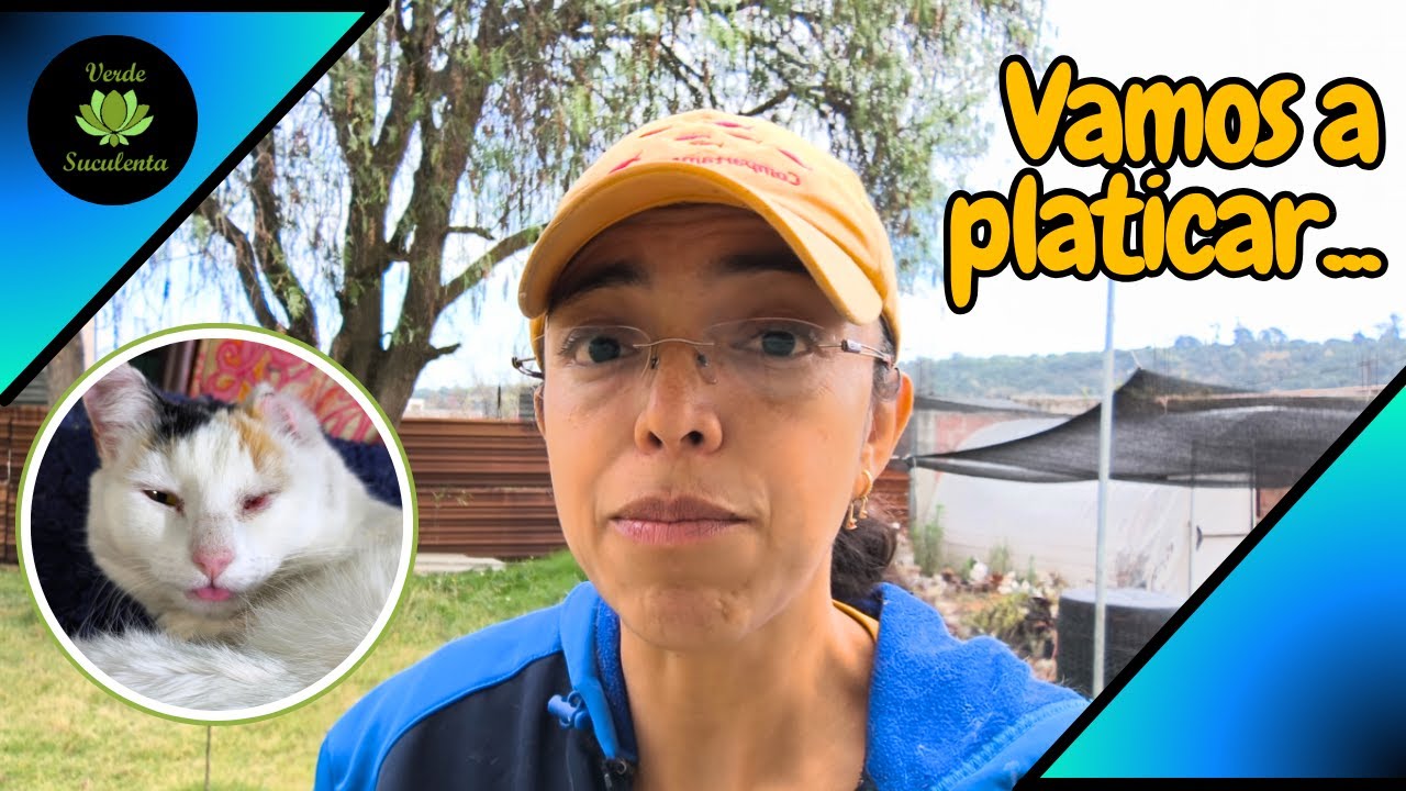 Este no es un video de plantitas...🐱