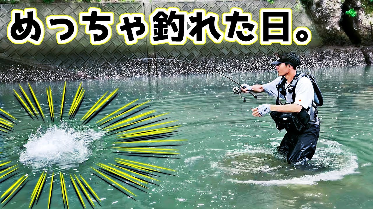 【これは楽しすぎる】いろんな魚がめっちゃ釣れた日。