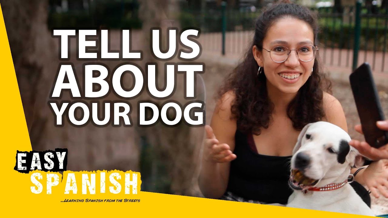 Tell Us About Your Dog | Easy Spanish 279