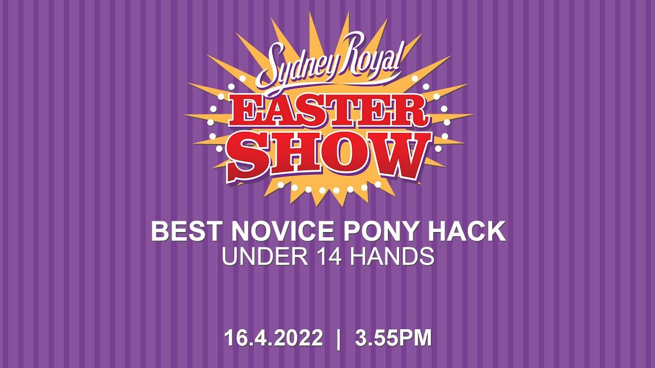 2022 Sydney Royal Easter Show | Best Novice Pony Hack Under 14 Hands