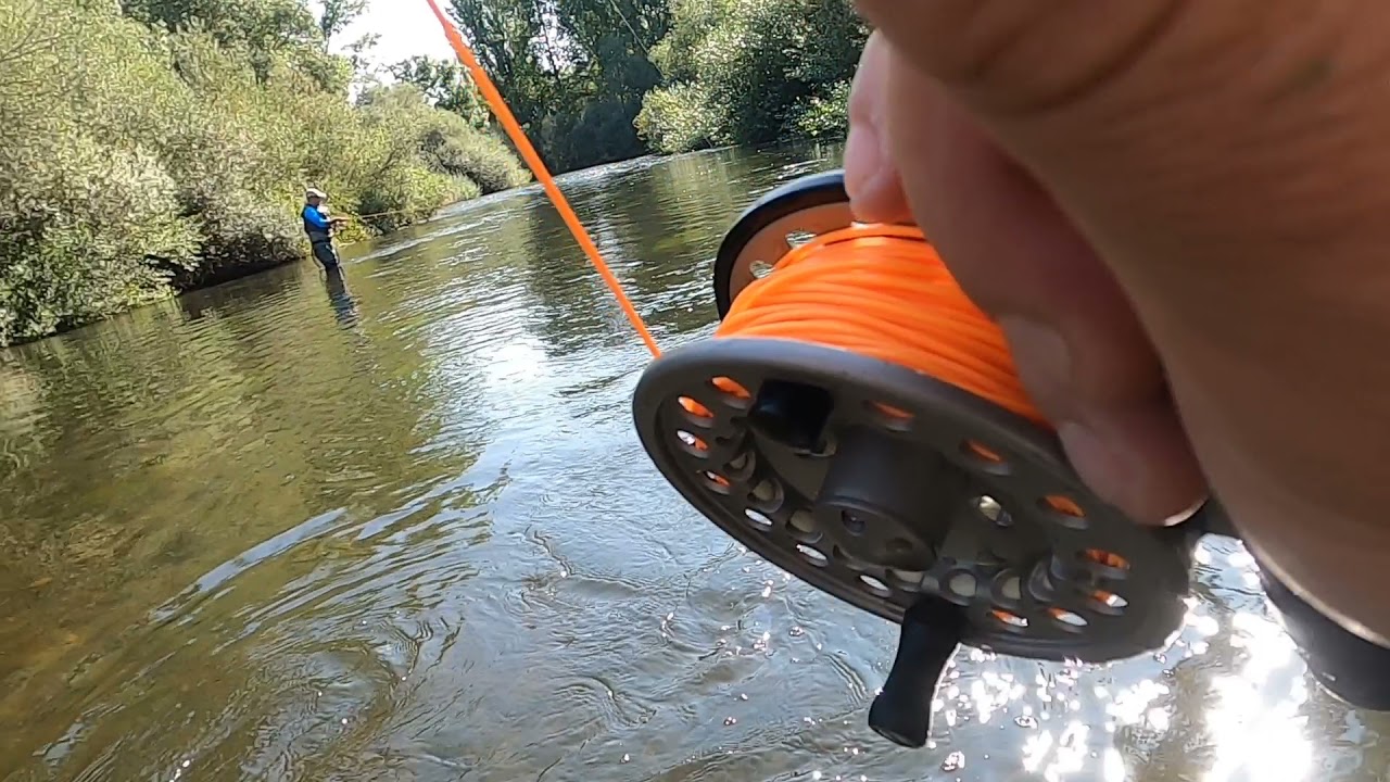 Pescando huchos en Villagonzalo ||(8-8-2021)