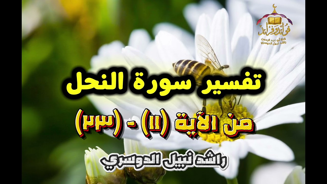 ٤. تفسير سورة النحل (١٨) - (٢٣) راشد نبيل الدوسري