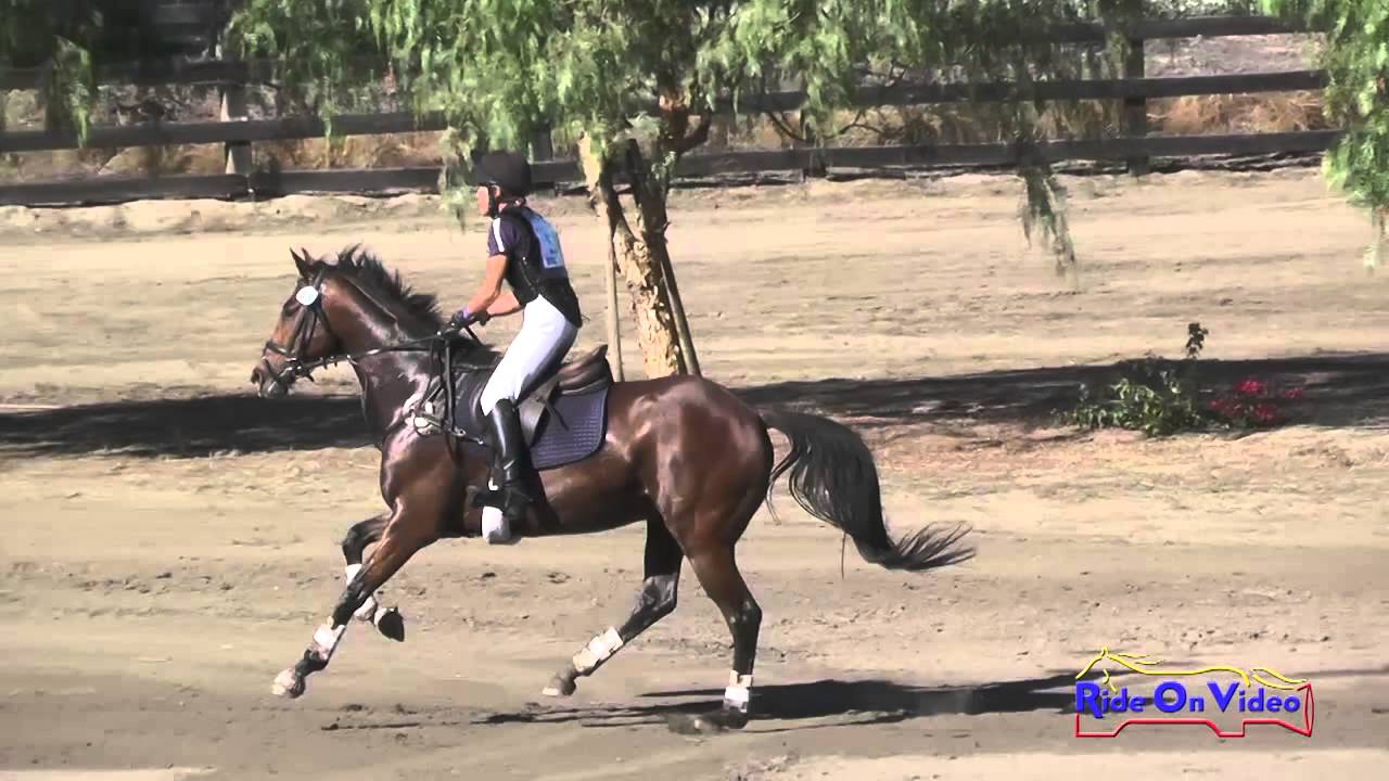 058XC Julie Anne Boyer on High Decorum CCI1* Cross Country Galway Downs Int'l Nov.2015