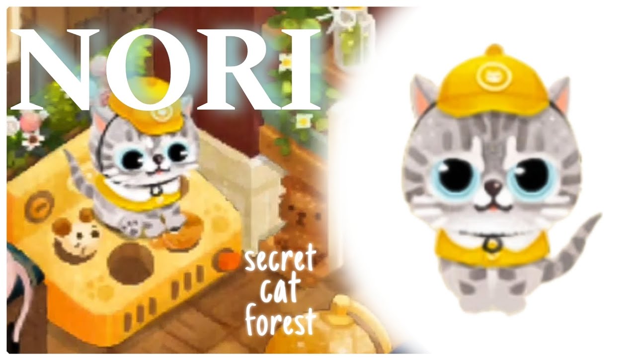 Como conseguir o Nori - Secret Cat Forest