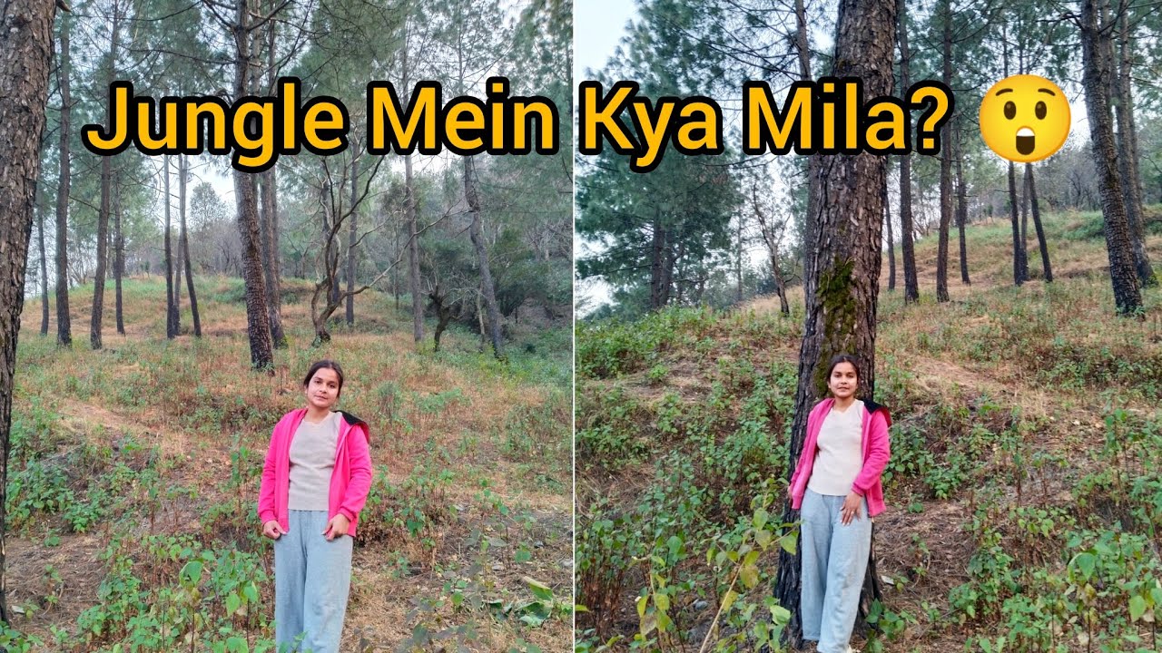 Jungle Se Lakadi Laye Aur Kya-Kya Mila? 🪵Pahadi Life Vlog #nishuvlogsntl 