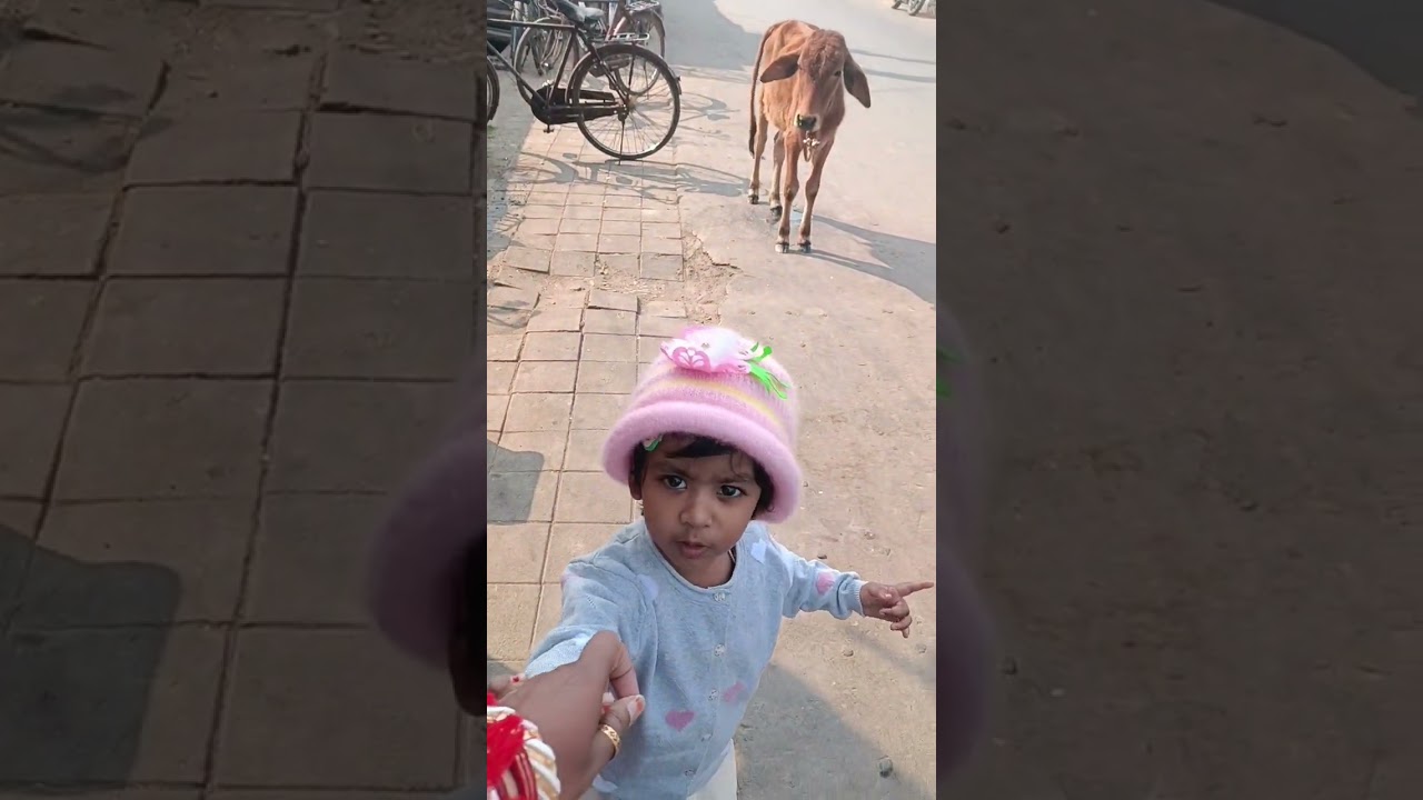 অঙ্গনওয়ারী র বাচ্চাদের নিয়ে একটু আনন্দ❤️ #birthdaycelebration #viralvideo#viraltoddler #funwithkid