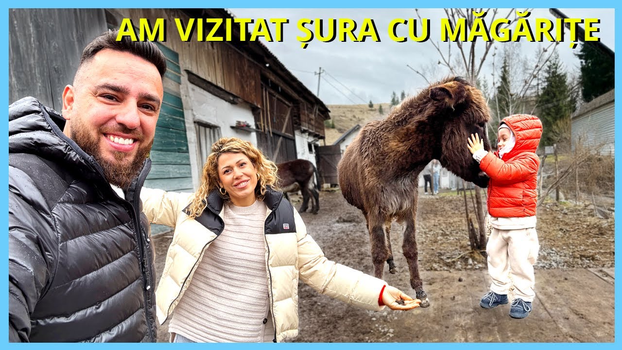 Am vizitat ȘURA CU MĂGĂRIȚE și FONTANA din Borsec