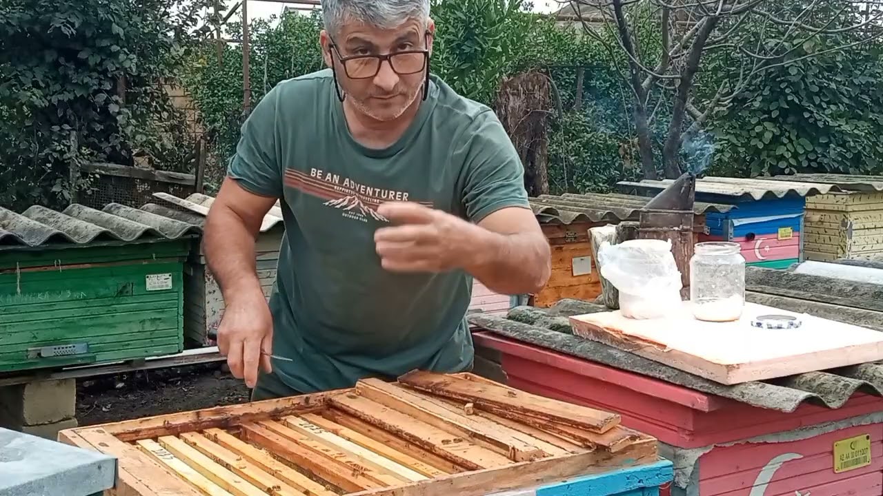 Varroanı aşkar etmə testi.