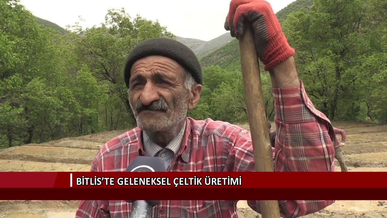 Bitlis’te geleneksel çeltik üretimi