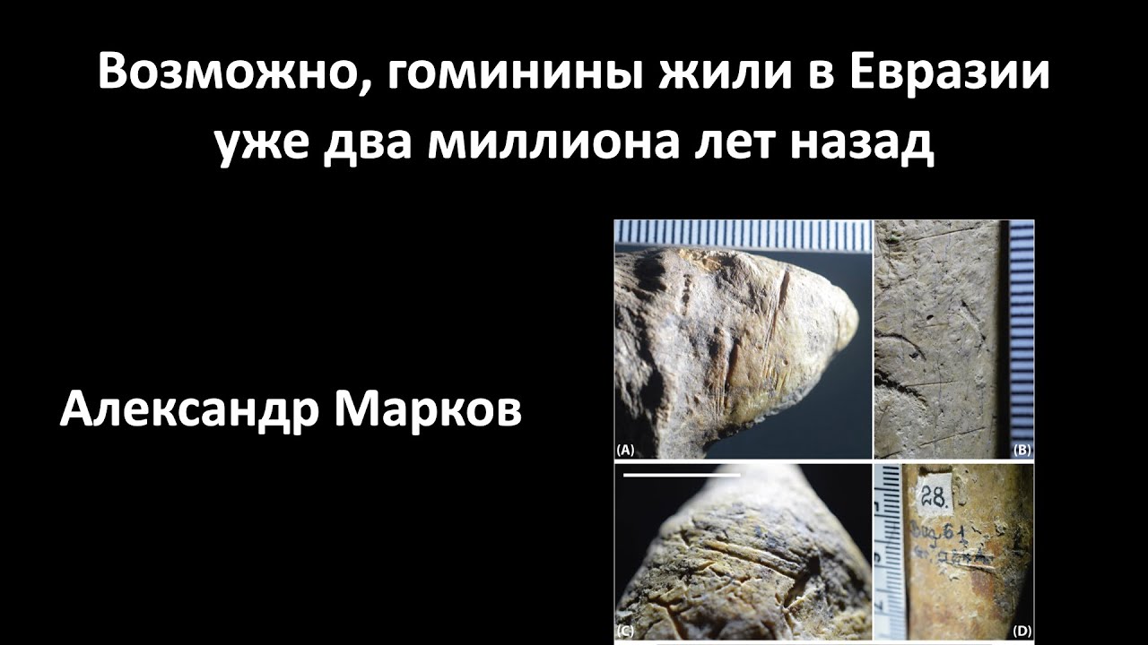 Hominins may have lived in Eurasia as early as two million years ago.