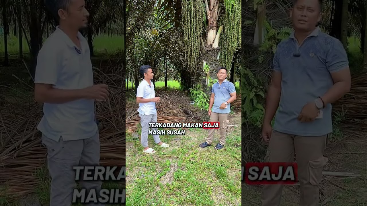 POTENSI HASIL TERENDAH AREN VS SAWIT