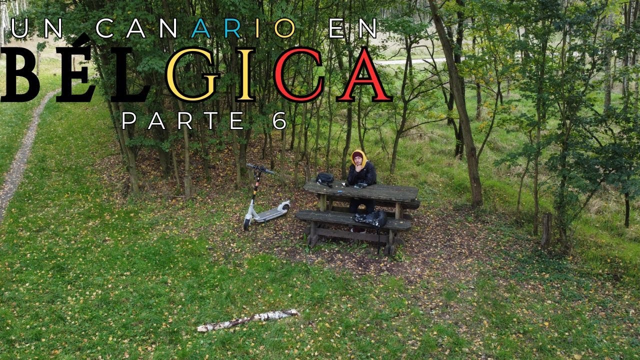 Un CANARIO en BELGICA | Parte 6️⃣ | VISITANDO las calles de LOMMEL ⬛🟨🟥