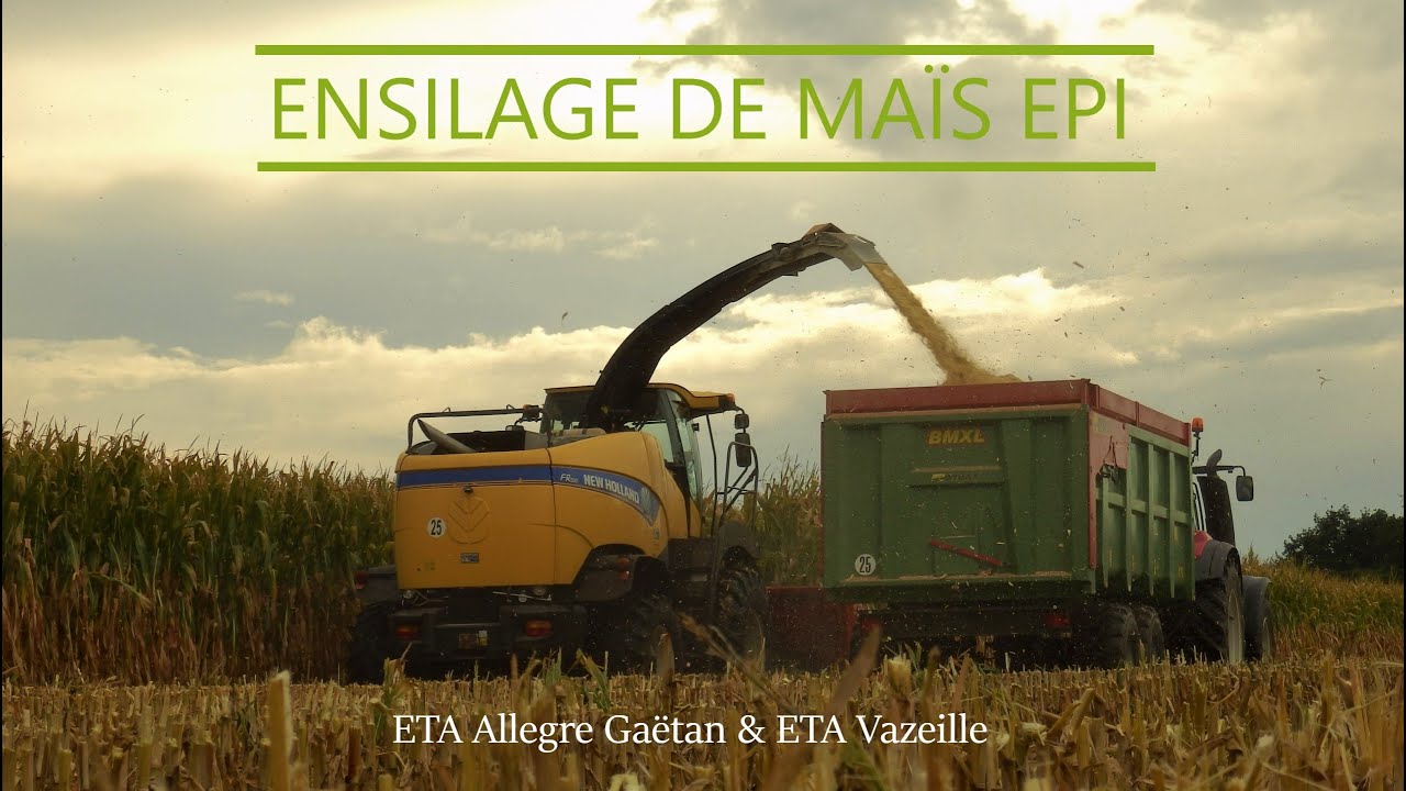 Un chantier peu commun🔍 : enrubannage de maïs épi !🌽😍🤩