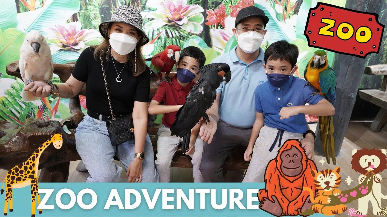We're Going To The Zoo | Feeding the Animals | Avilon Zoo | BIGGEST ZOO