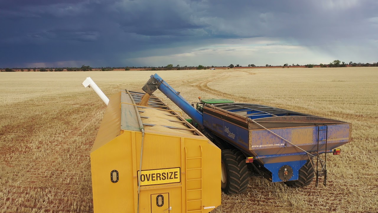 Quambatook Harvest 2021 (Harvest Time by John O'dea)