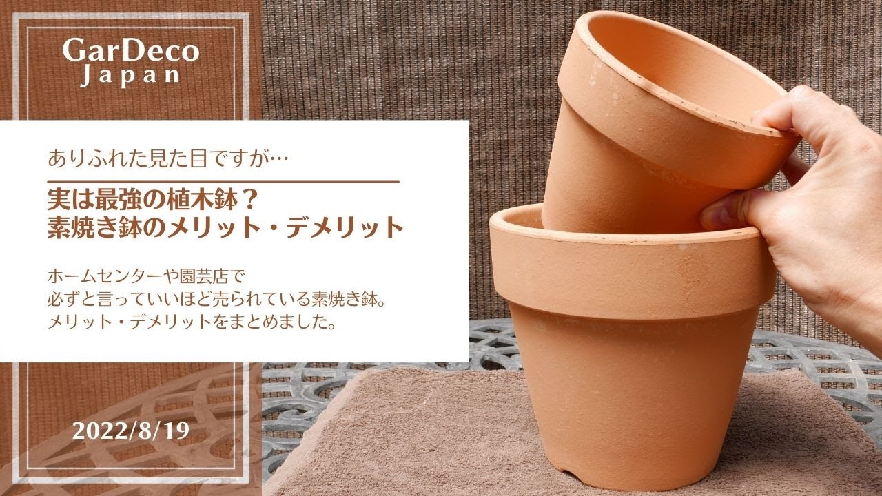 【実は最強の植木鉢？】素焼き鉢のメリット・デメリット
