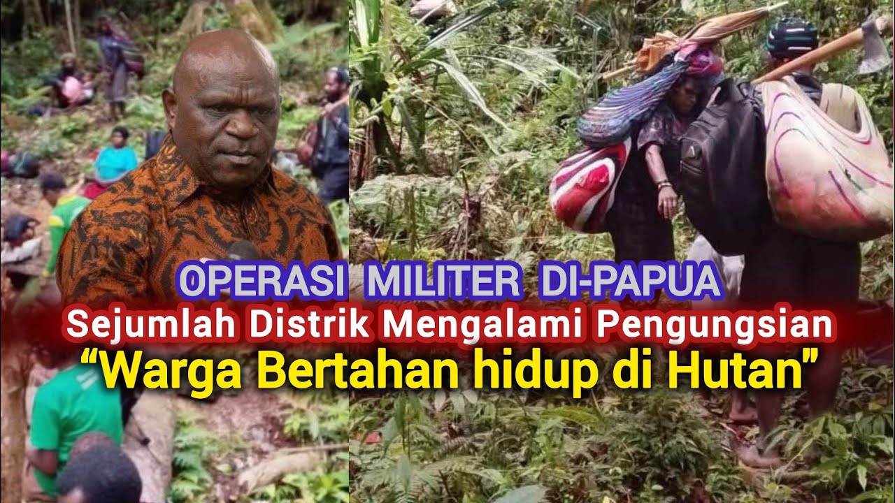 Sejumlah Distrik di Papua Alami Pengungsian Warga, Situasi Masih Berlangsung