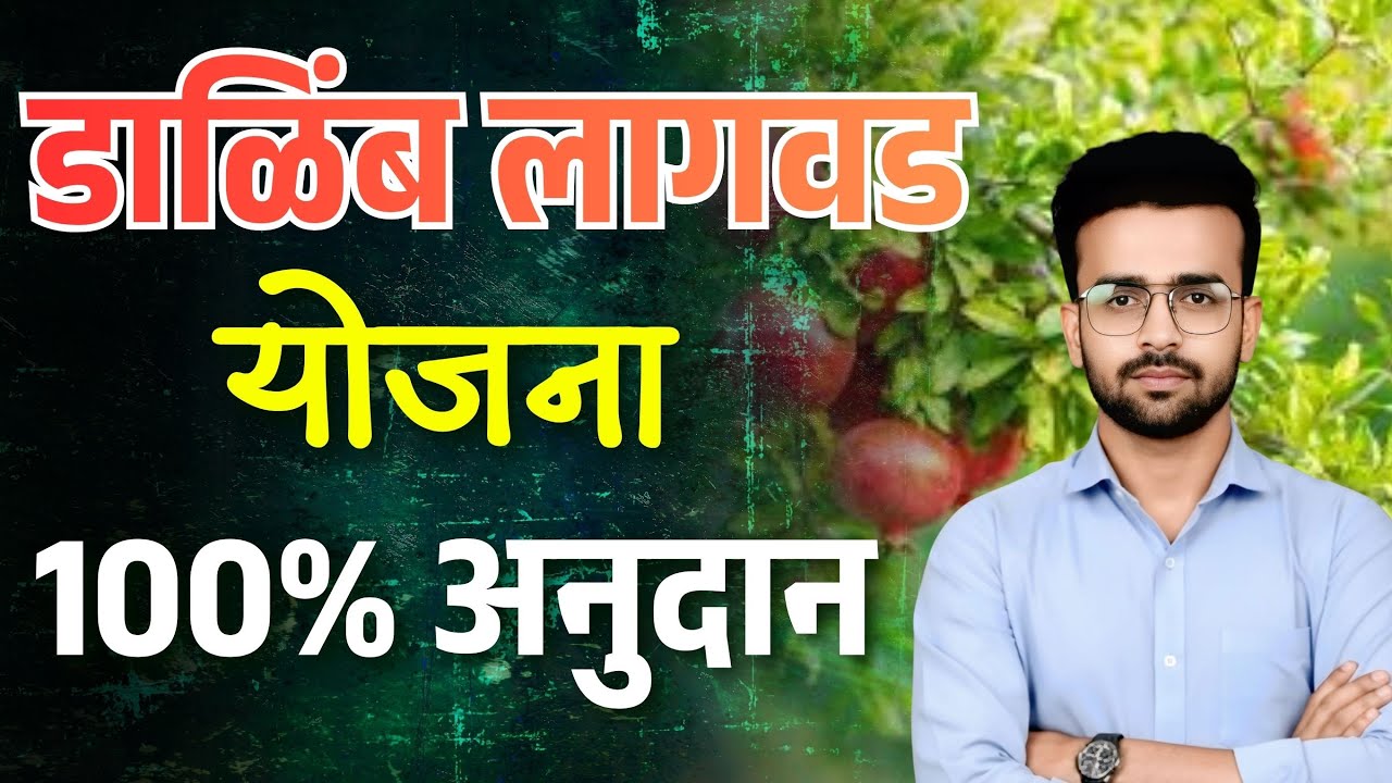 डाळिंब लागवड 100% अनुदान असा करा अर्ज | Dalinb Lagvad Yojana | PoCRA Dalimb falbag lagvad