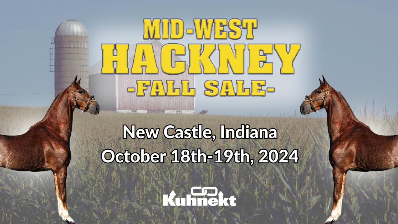 Pony Sale - 2024 Midwest Hackney Fall Sale